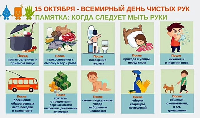 https://i.ibb.co/Zp0ps9ST/IMG-2179.jpg