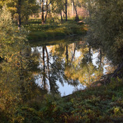 DSC 0957