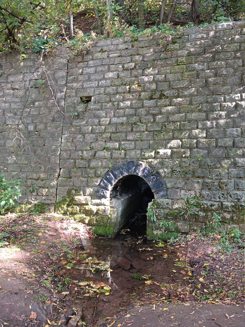 20260917 114527.jpg
