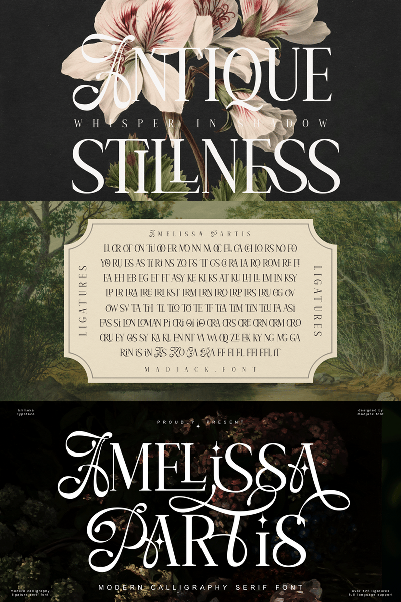 Amelissa Partis: Why Nostalgic Charm is Your Tech & SaaS Brand's New Logo Superpower