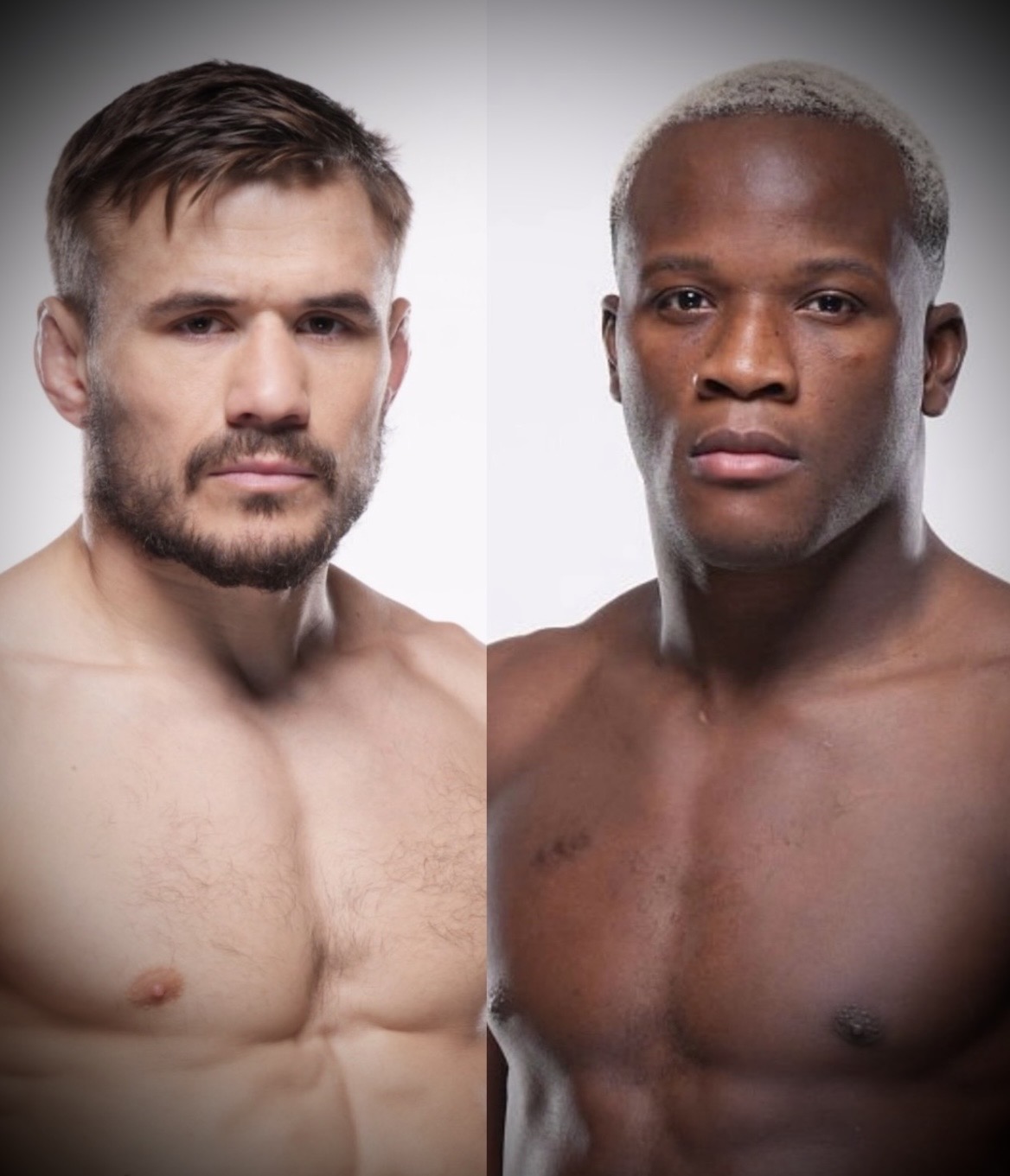 IMG-4240.jpg