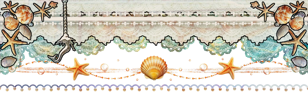 seashelldividertop