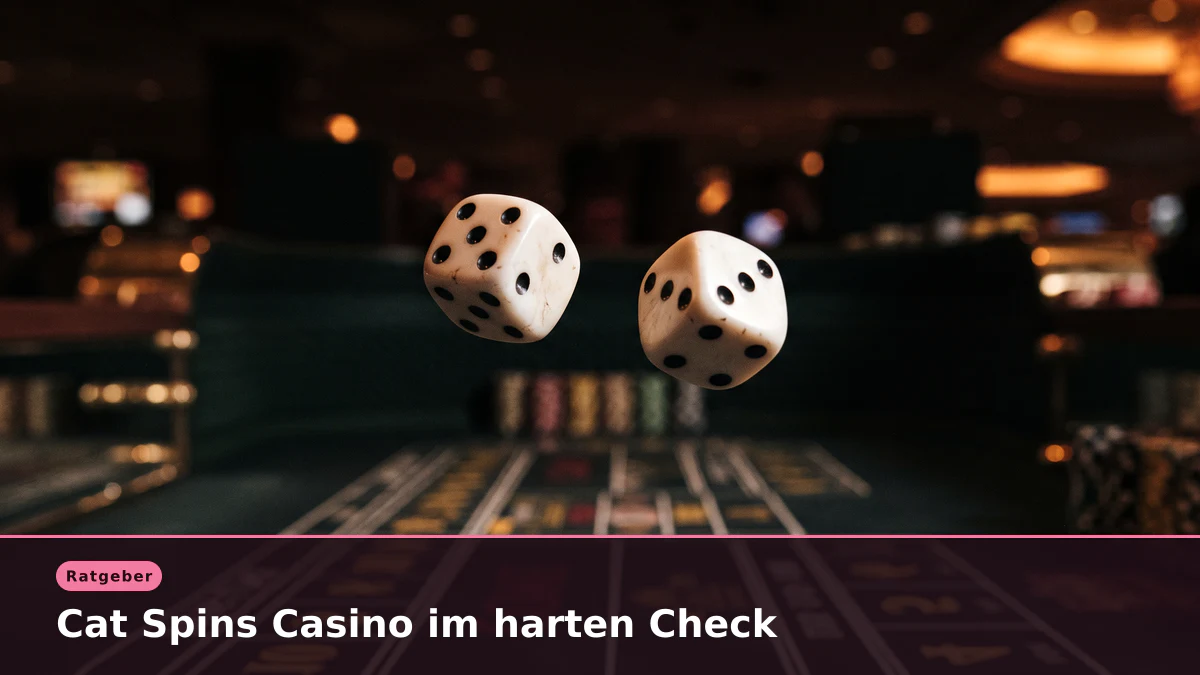 Cat Spins Casino im harten Check