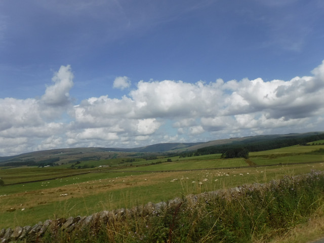 DSCF0208.jpg