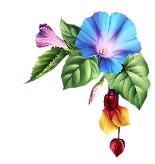1bcc90f5ad686cdf8956e617edc05416.png