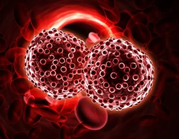 Kidney Transplants Possible with Novel Therapy