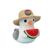 Seagull w/ Patch