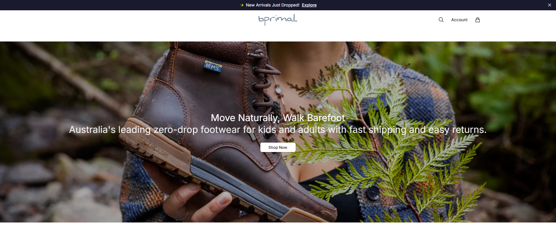 Stored capture of alfoot.shop