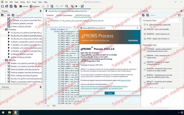 Siemens g PROMS Process 2025 2