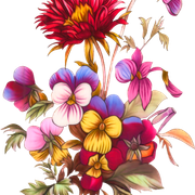 61f1fd8f57bd9ff9ce7b4c2cc68b50e2