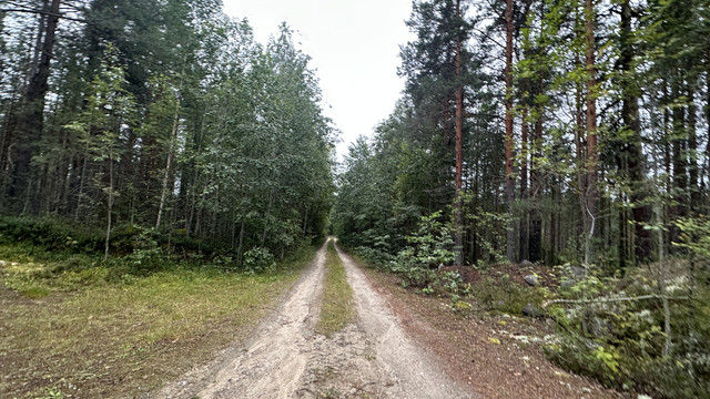 IMG 4974.jpg