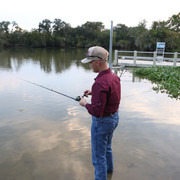 IMG 7391