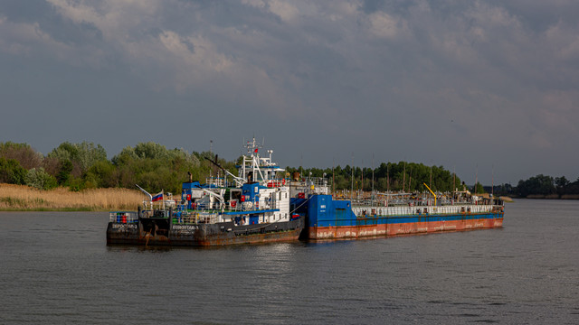 IMG 0533.jpg