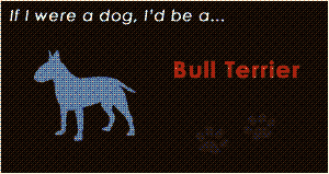 Bull Terrier