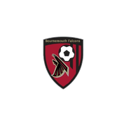 Bournemouth Falcons