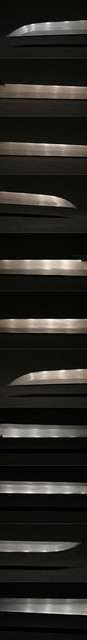 DSC0438.jpg