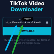 Paste Link