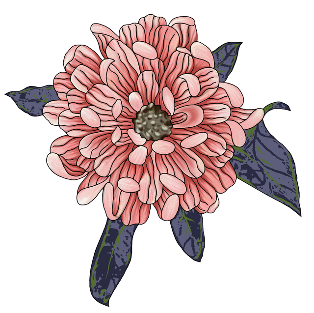 52ff4114a29a4bbeb6325fc2af50aa82.png