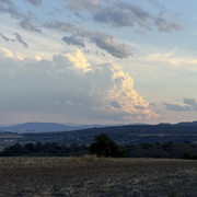 IMG 2779
