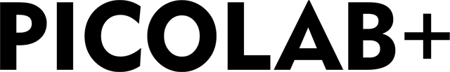 logo pico.png