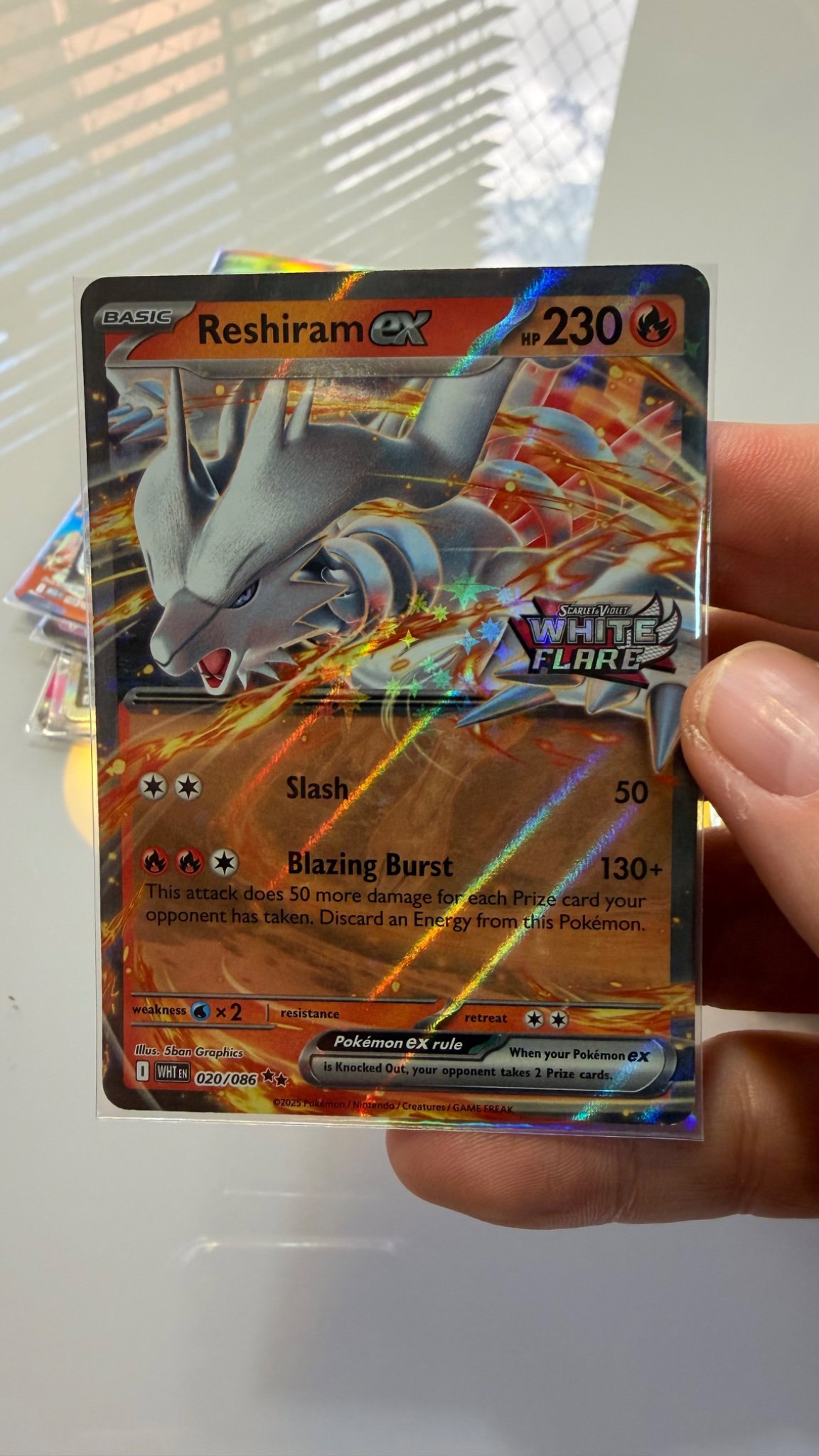 Reshiram ex