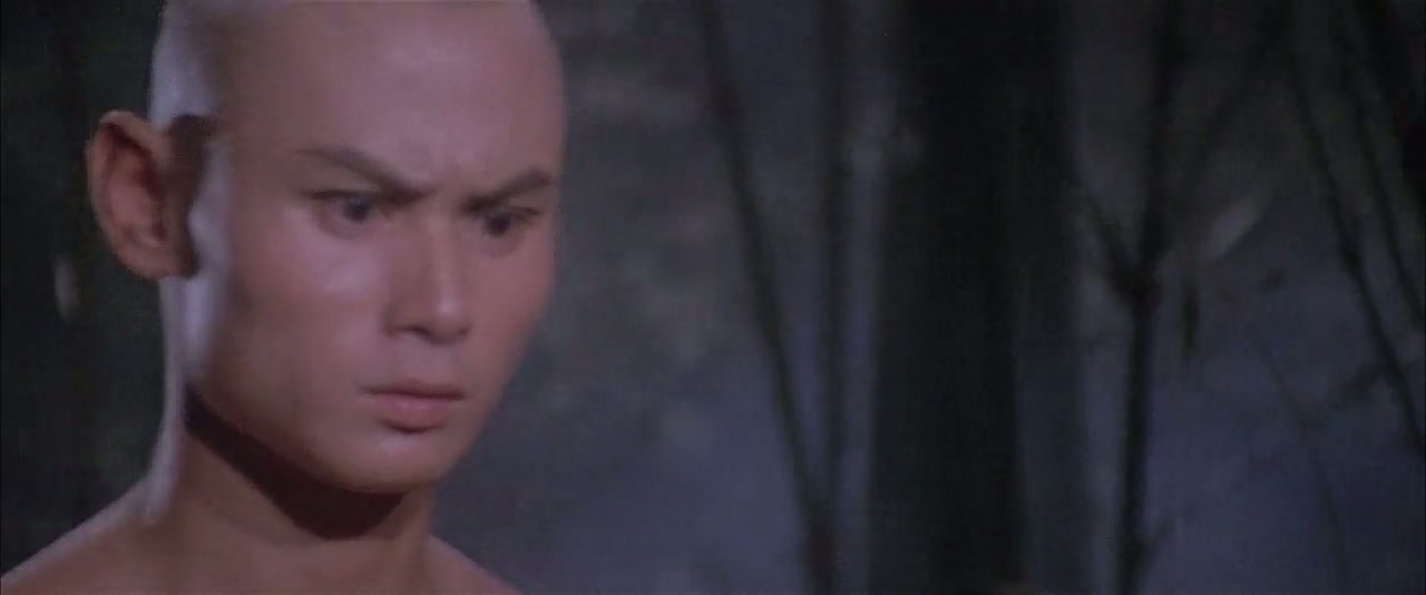 The 36th Chamber of Shaolin Screenshot