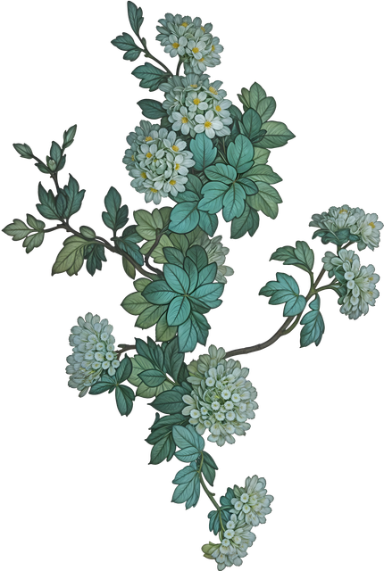 13d87fa4e08912d43a99599283dca701.png