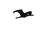 QK2BV342IAYSMGTL4IWCQUNOSIYRPHCS