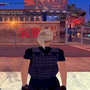 sa-mp-493