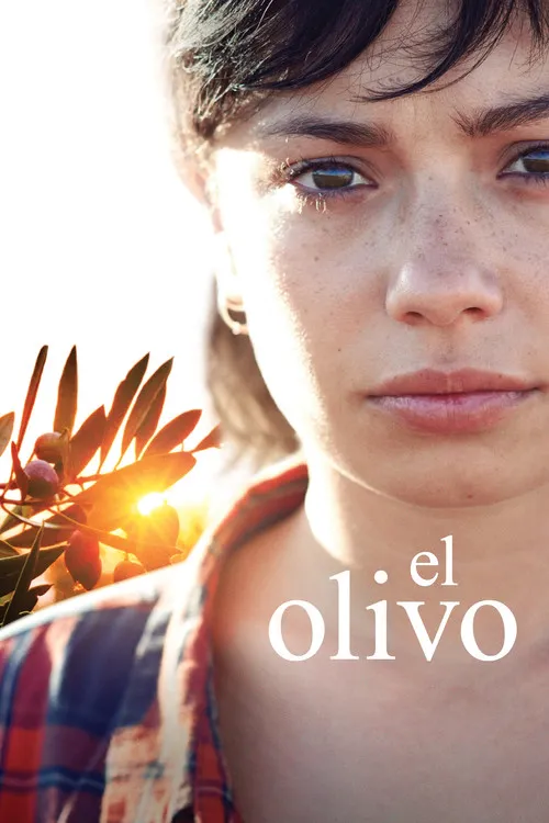 A Oliveira do meu avô [El olivo]