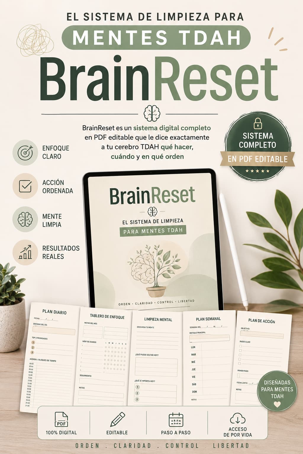 BrainReset Portada