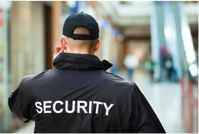 How Professional Security Services Help Protect People and Property