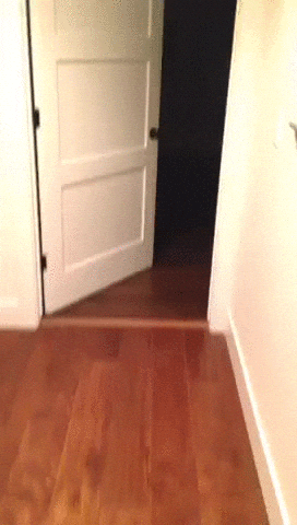Aer0YxE.gif