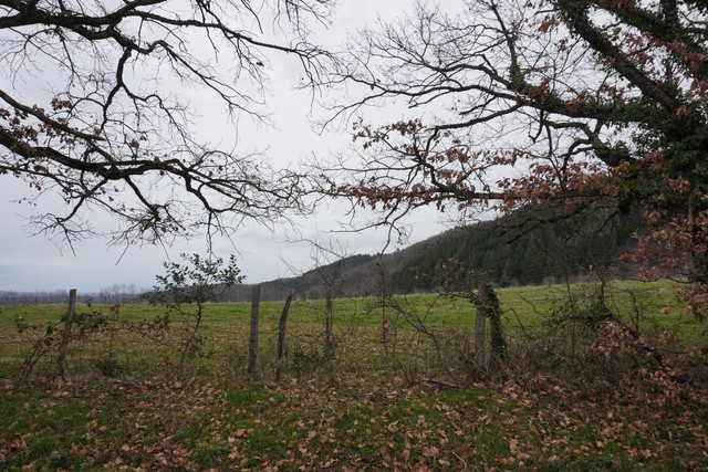 DSC00090