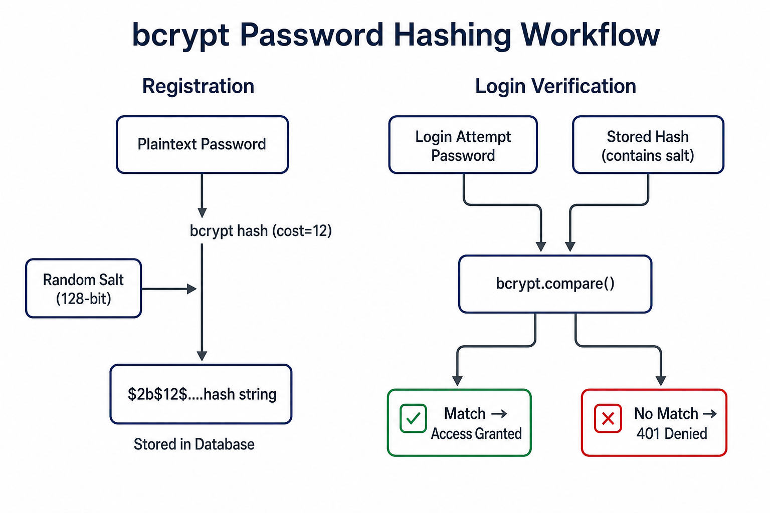 Password hashing workflow diagram showing plaintext password flowing through bcrypt with a salt to produce a stored hash, and the verification path comparing a login attempt against the stored hash