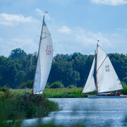 DSF7824