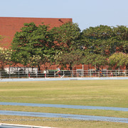 IMG 0110