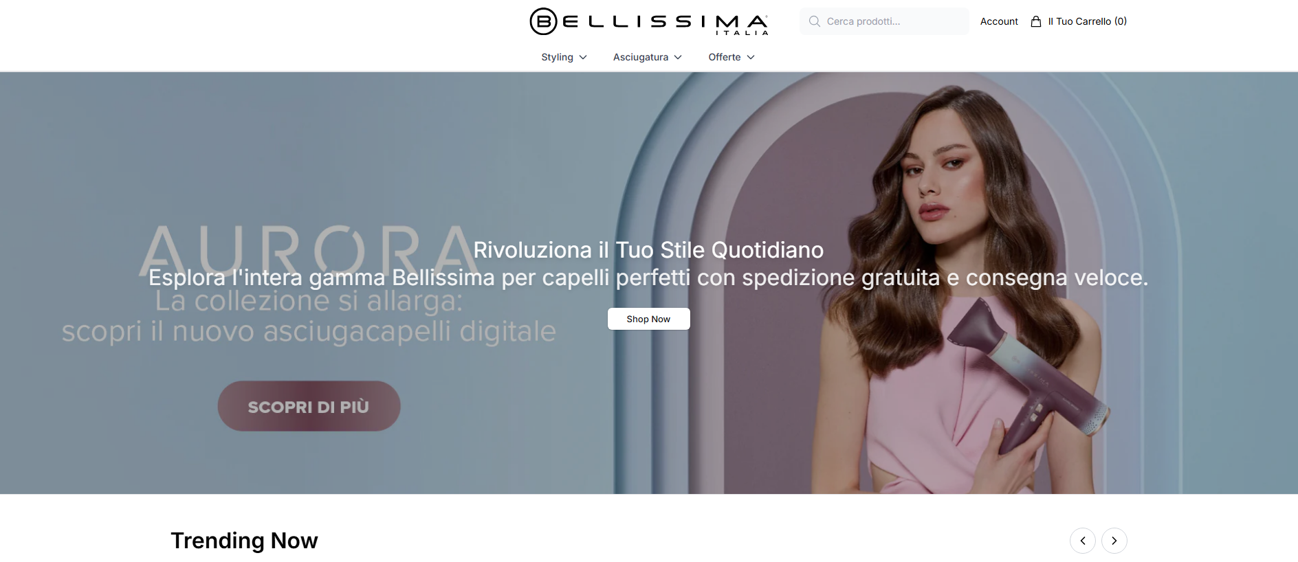 Stored capture of bellissimahq.shop