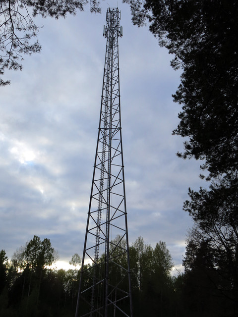 IMG-4749