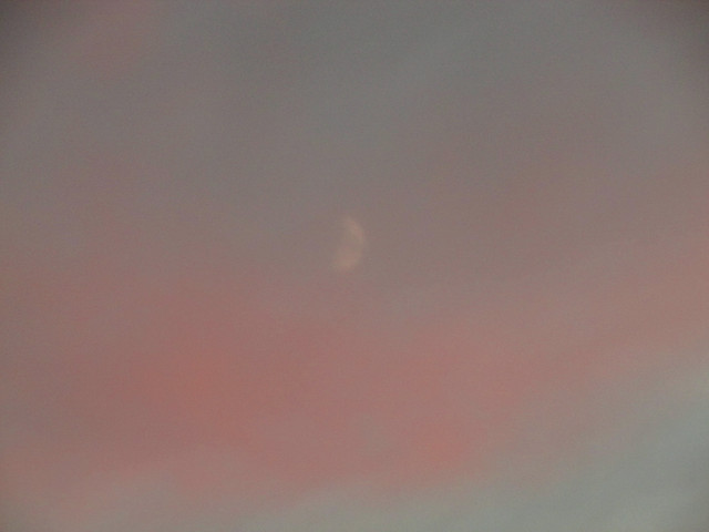 IMG 7428