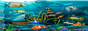 aquarium.gif