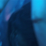 24Untitled 1.gif