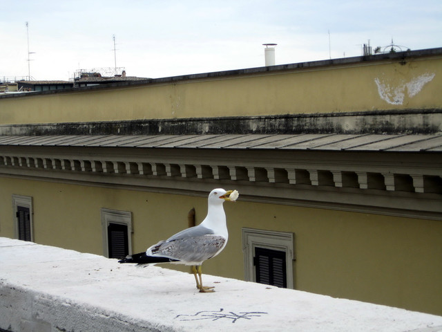IMG-7031
