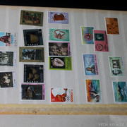 IMG-2006