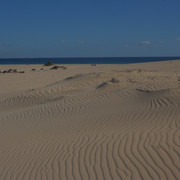 DSCF8523