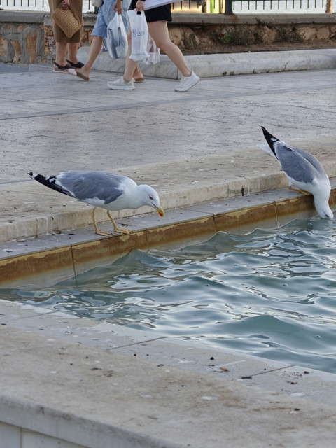 IMG20260820192237