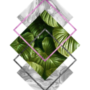 B01-15-N