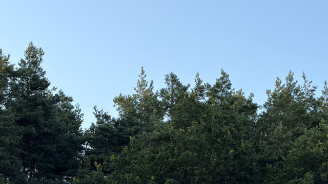 IMG 20260705 WA0010