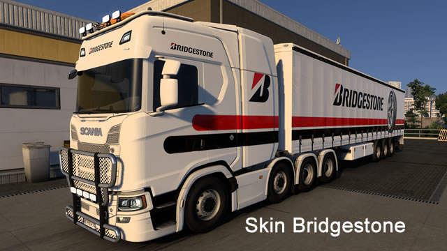 Skin Bridgestone