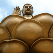 14442256384